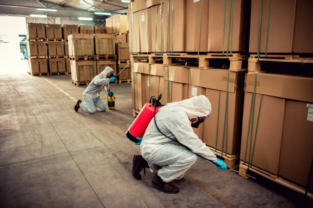 Best Bed Bug Extermination  in Inglis, FL