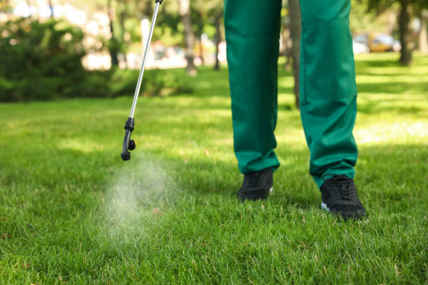 Best Wildlife Control Services  in Inglis, FL