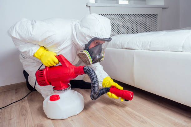 Best Emergency Pest Control  in Inglis, FL