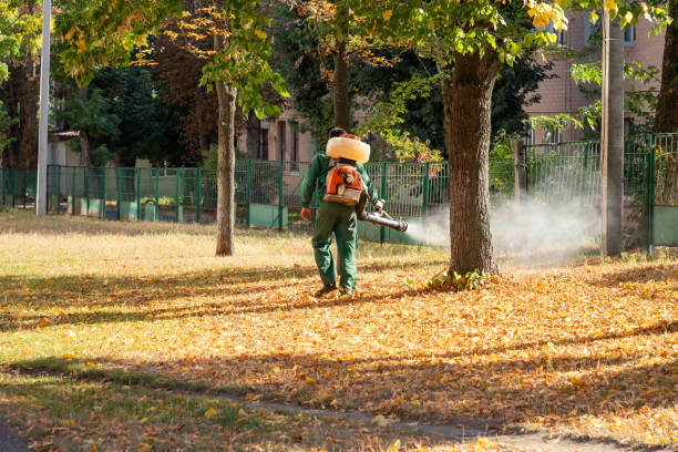 Best Insect Control  in Inglis, FL
