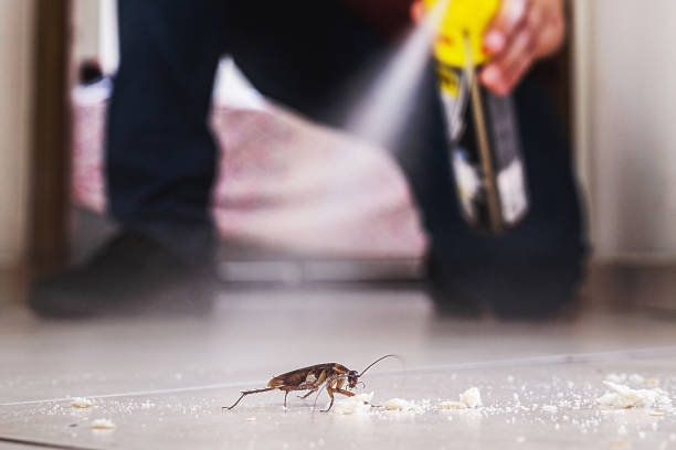 Best Pest Removal Services  in Inglis, FL
