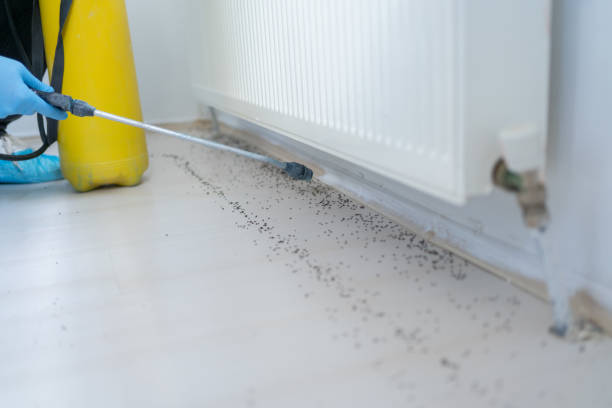 Best Pest Prevention Services  in Inglis, FL